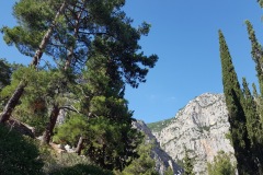 Delphes