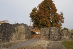 Petinesca (Studen CH)